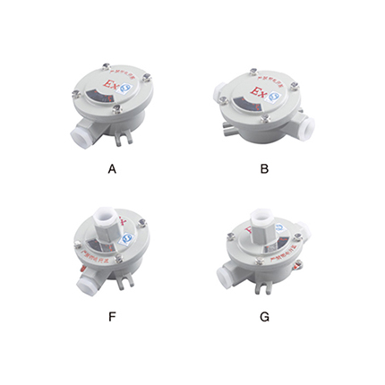 AH系列防爆接線盒( IIc、tD)
